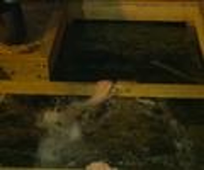 Soğuk havada buzlu suya girdiler