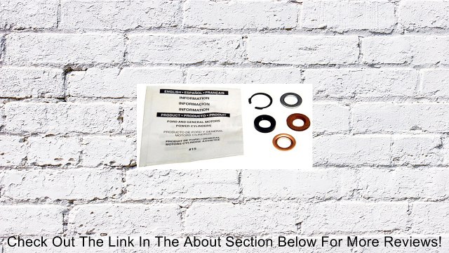 Edelmann 7906 Power Steering Power Cylinder Piston Rod Seal Kit Review