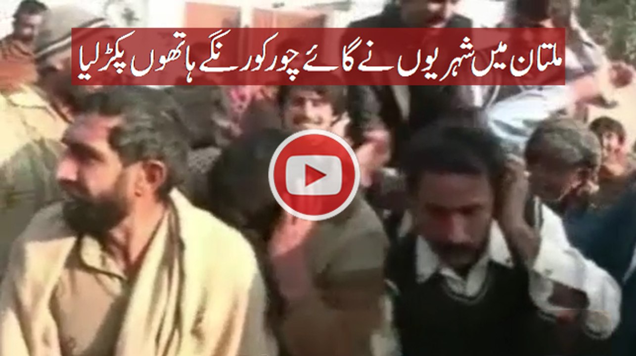 Multan me Cow chor pakra gaya