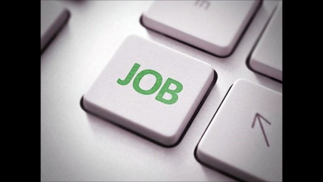 Job For Freshers|Best Job Sites In India For Freshers