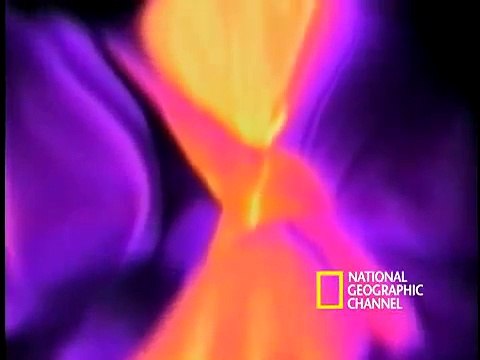 Bed Bug Exterminator & Pest Control Brooklyn