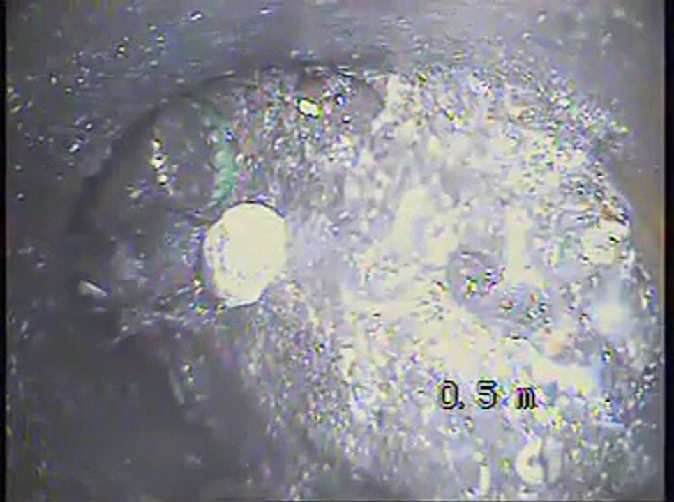 Video Lally