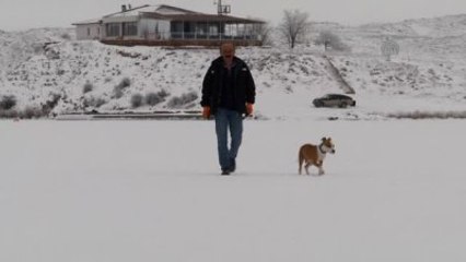 Donan Göl Üzerinde "Kangal Köpeği" ile Kızak Keyfi