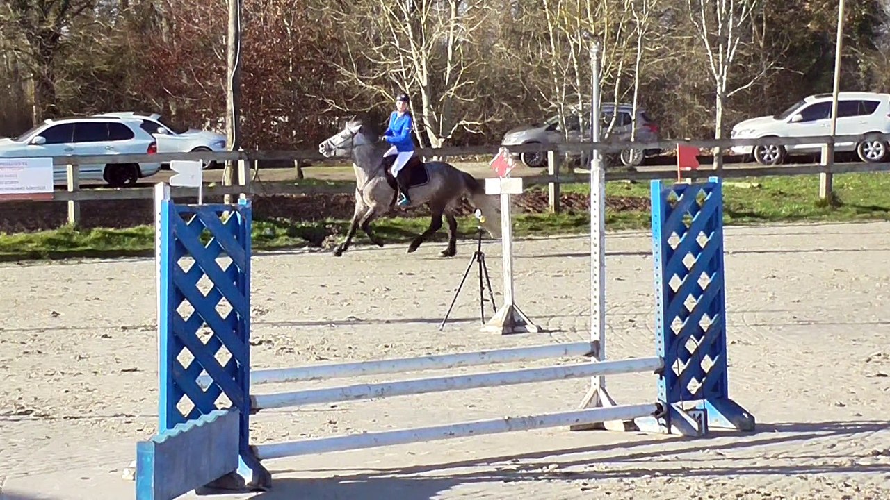 cassy et turlupin poney 3 SF - Liverdy en Brie