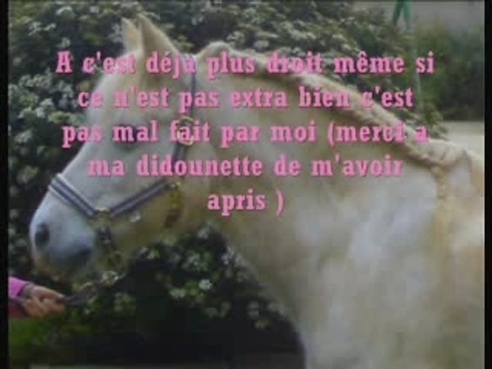 Bonome mon amour