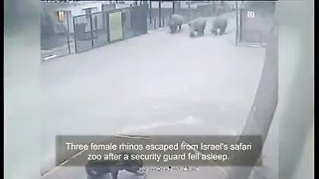 ایک سویا ہوا چوکیدار، کھُلا ہوا گیٹ تو پھر بھاگنے کو کس کا دل نہیں کرے گا؟