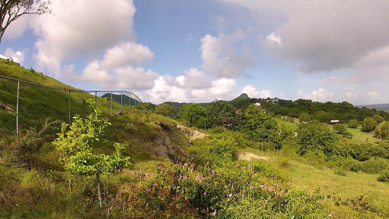 carriacou