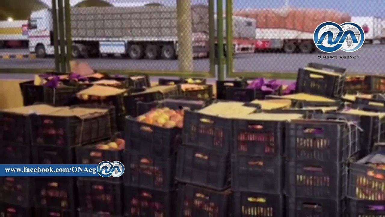 بالفيديو.. إحباط محاولة تهريب 495 كيلو حشيش لدا...