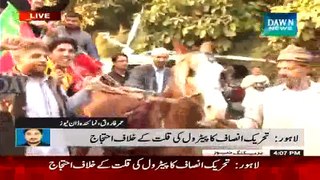 Lahore- PTI Workers Protesting Along With Donkey For Petrol Reduction!