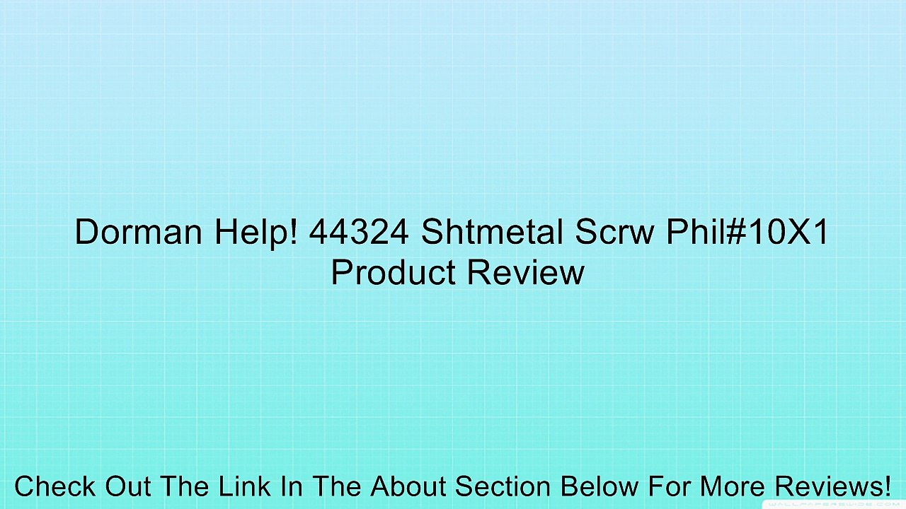 Dorman Help! 44324 Shtmetal Scrw Phil#10X1 Review
