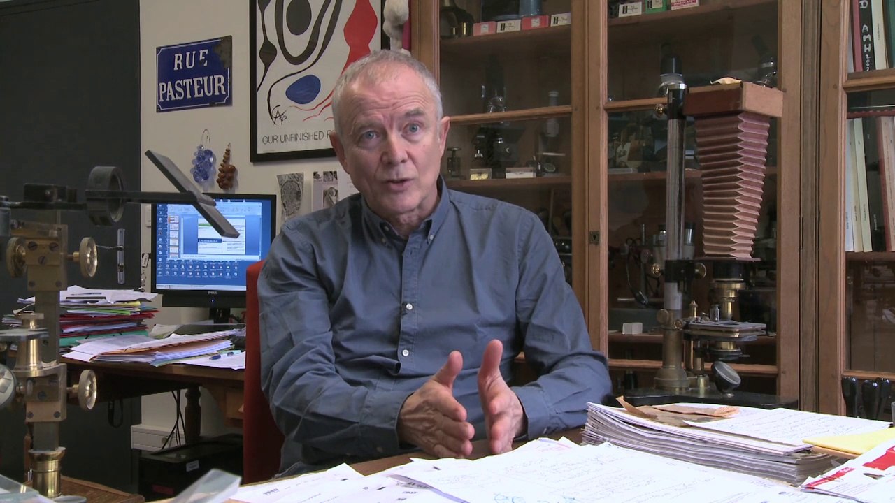 Produits chimiques et santé