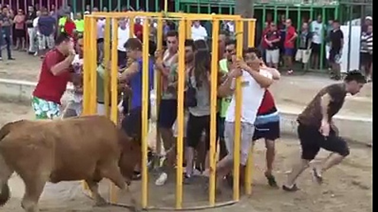Crazy People