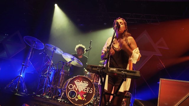 Cats On Trees - NJP 2014