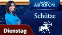 Das tägliche Horoskop des Sternzeichens Schütze, heute am (20 Januar 2015)