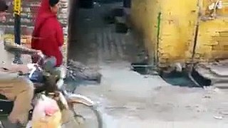 What Happens when a Little Girl tries to take Money from a Street!
