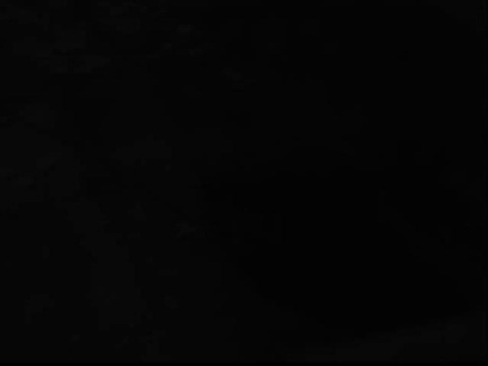 Rocky - The Back Yard Raccoon - video by Robert Segarra