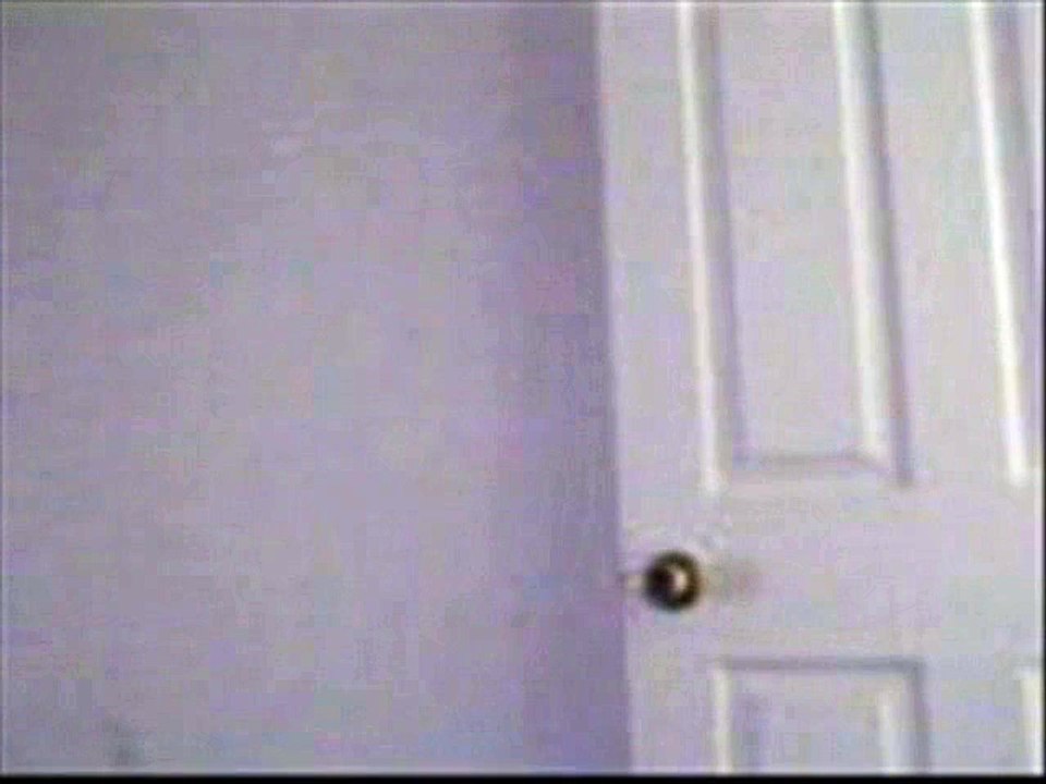 Chloe the cat Plays Mozart - video by Robert Segarra