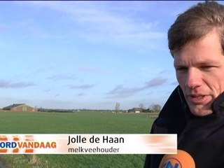 Wat de muizen opvreten is niet meer voor de koeien beschikbaar - RTV Noord