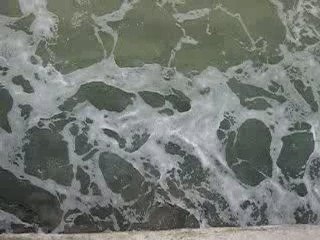 Discover San Sebastián's Charm 🌊