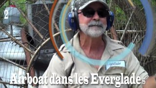 Balade sur un Airboat dans les Everglades