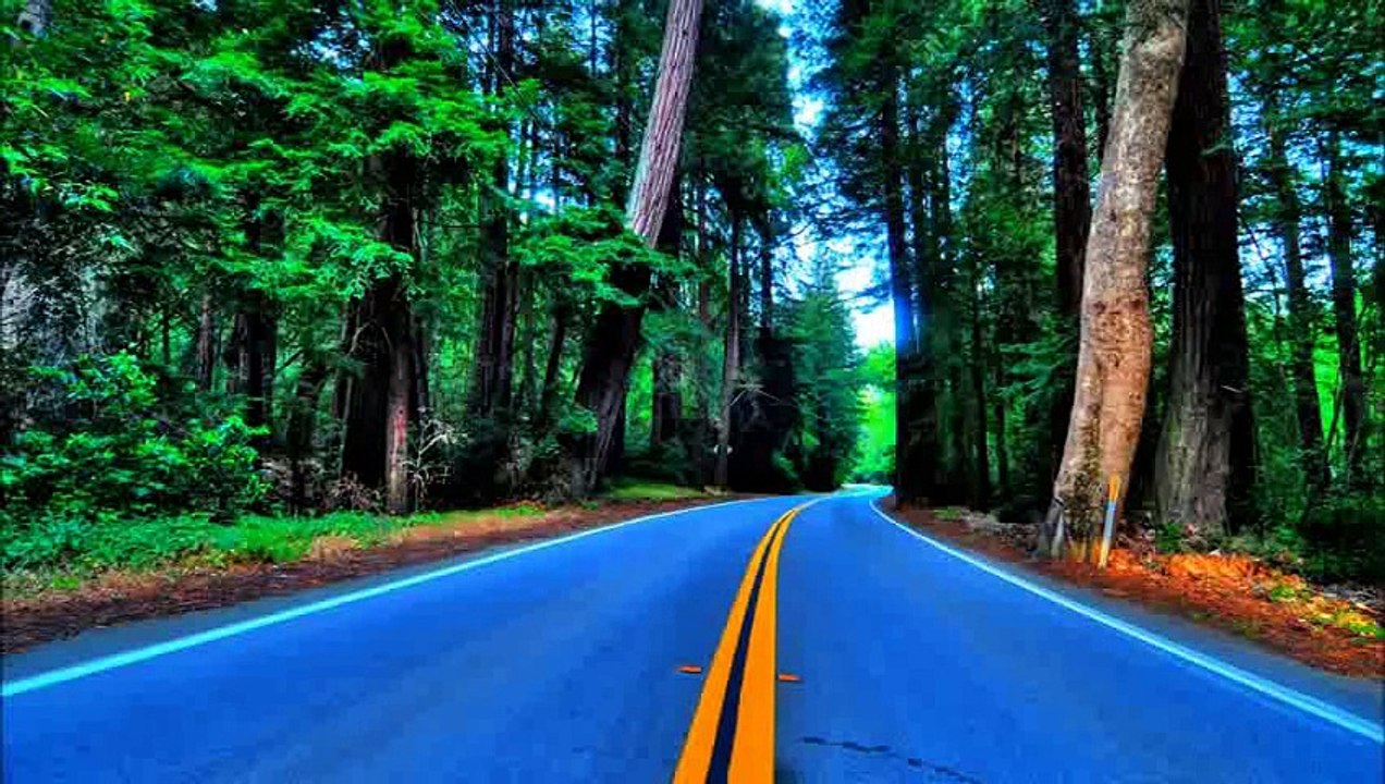 CEMAL ÖZTAŞ - NAZLI YAR