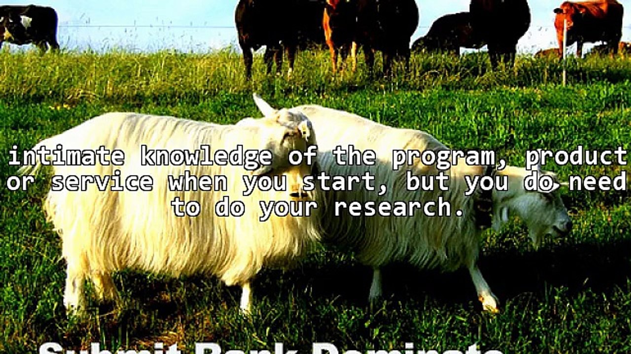 How Can You Make Money With An Affiliate Income?