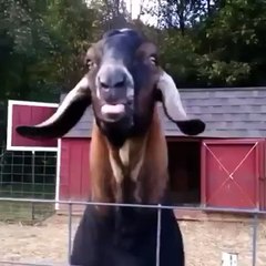 Ten pocit ked ste na sracky a nieco strasne zmisluplne chcete povedat