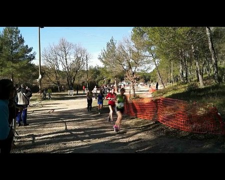 départementaux de Cross 11 janv 2015 -Calas Cabriès_part 2