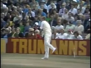 Roy Fredericks and Gordon Greenidge 192 runs, Opening Partnership 1976