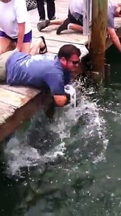 Fish Vs Stupid Man