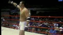 Tim Sylvia vs Wes Sims