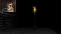 FACADE GOES HORROR! Slender Man Horror Game (them graphics) Playthrough Walkthrough