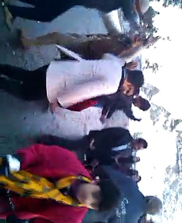punjabi dance in murree