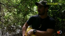 Discovery Channel Eaten Alive