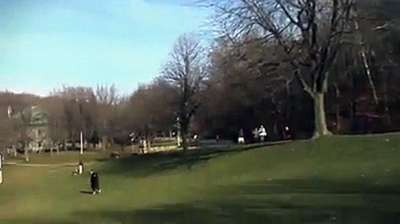 Eagle Tried to Snatch Child !