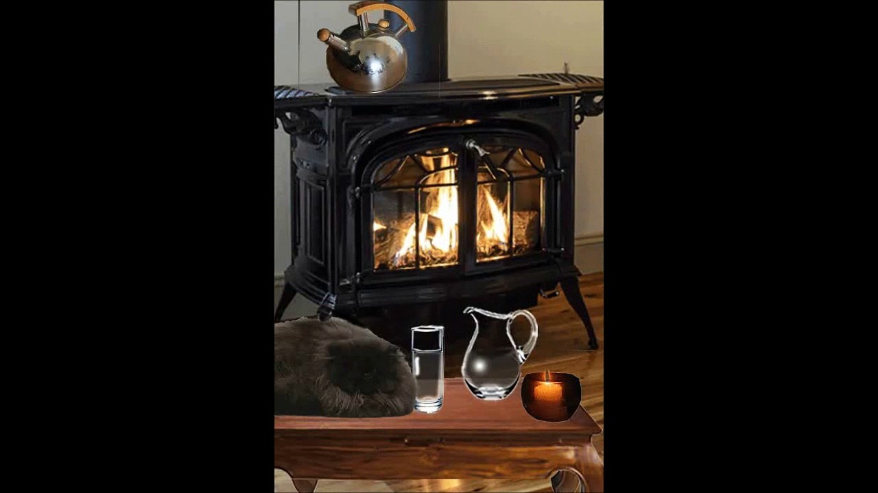 Soirée d'un chat au Canada