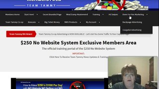Official 250 No Website Program
