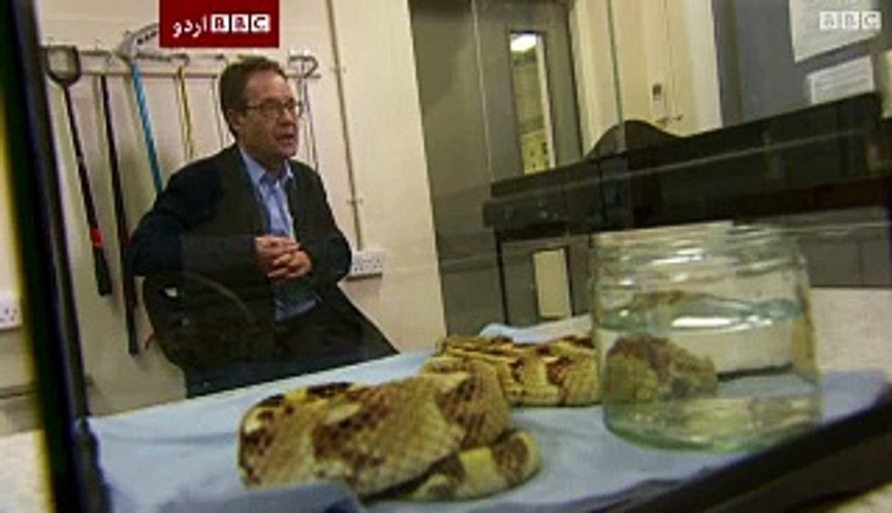 Poison from the poison - BBC Urdu