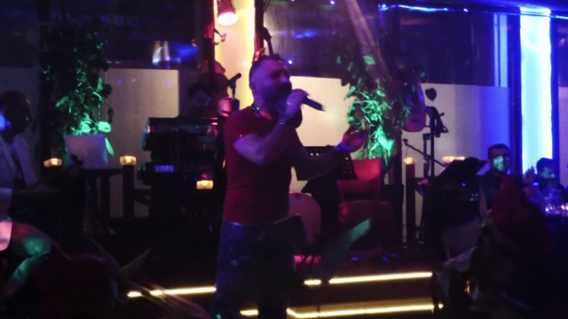 Ali Dilekci = Bahcada yesil cinar = mavigul-Lumiere Hollanda Sahnesi