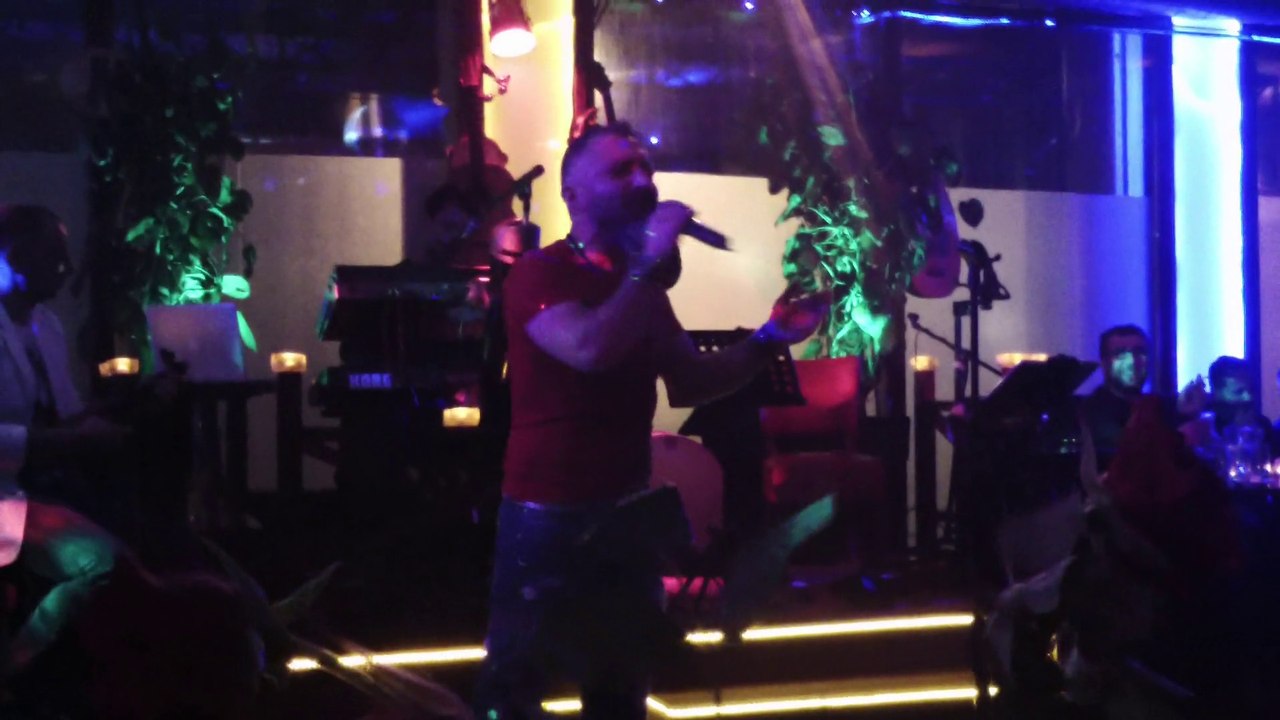 Ali Dilekci = Bahcada yesil cinar = mavigul-Lumiere Hollanda Sahnesi