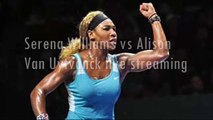 watch Alison Van Uytvanck vs Serena Williams live stream