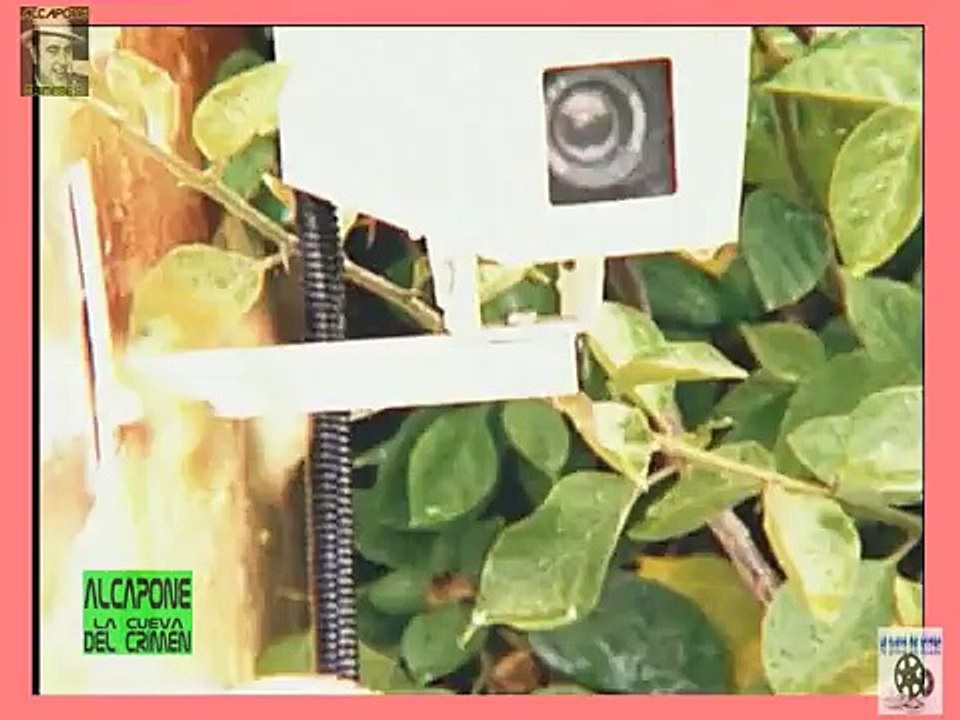 Historias Criminales, Acosadores de Hollywood 111013