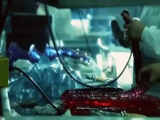 Travailler dans une usine de fabrication de vibromasseurs et godemichés