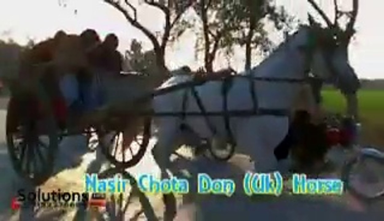 nasir chota don uk horse jumma try 16-1-15