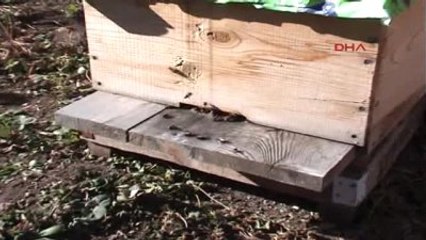 Ardahan Doğu'da Kışın Diğer Yüzü