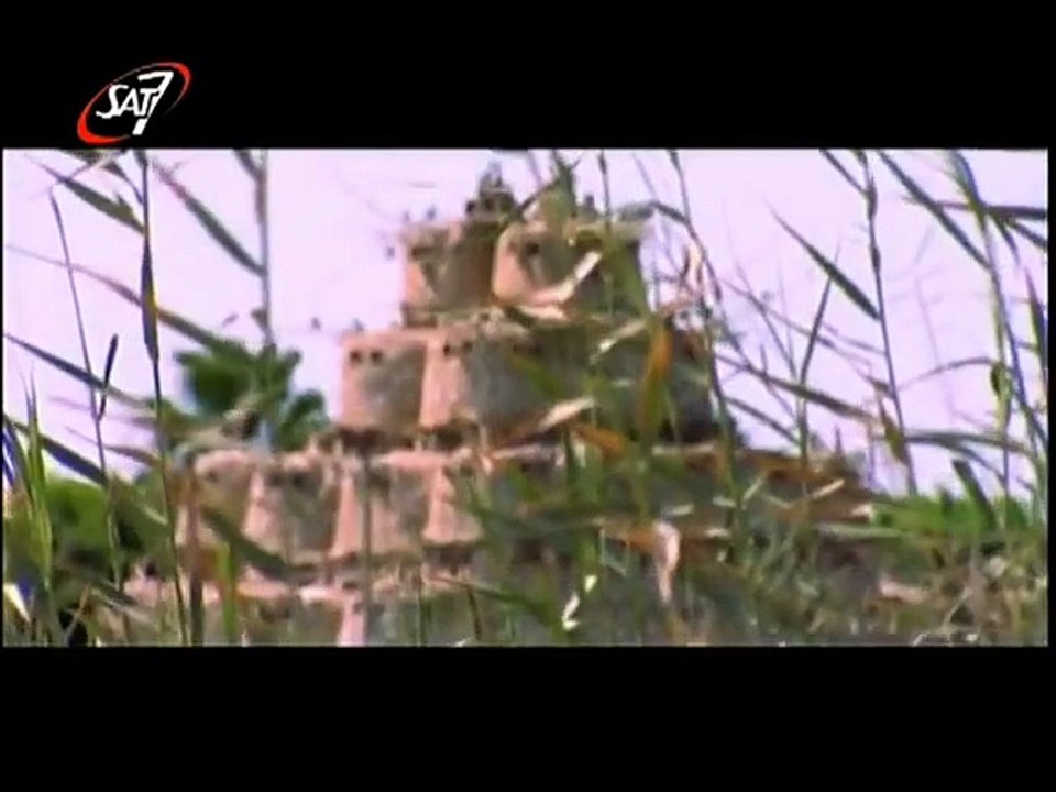 ترنيمة يا عيون الرب السهرانة طلي على مصر
