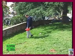 Historias Criminales, La bomba chivata 151013