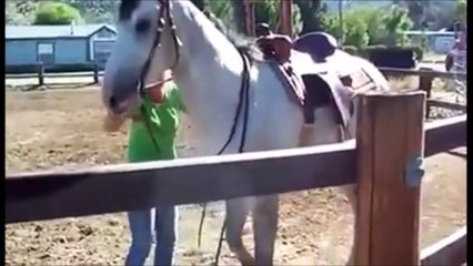 YelookVideo #4 - compilation spécial les dangers de l'alcool