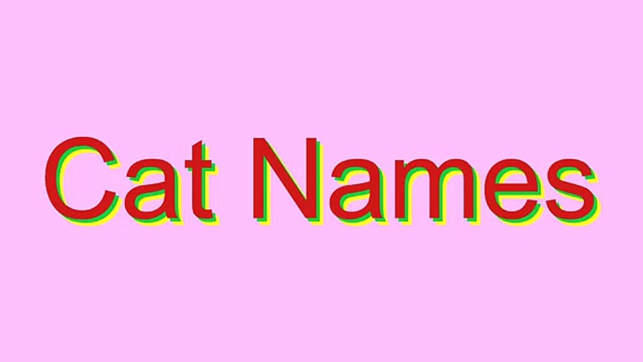 How to Pronounce Cat Names