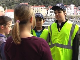 SOS DEJECTIONS CANINES !